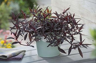 网易与腾讯罕见合作 UU加速器现已上线WeGame商店